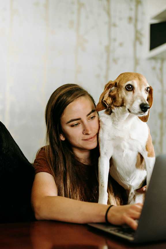 A woman is using a laptop with two dogs, one black and one brown and white, sitting on her lap.