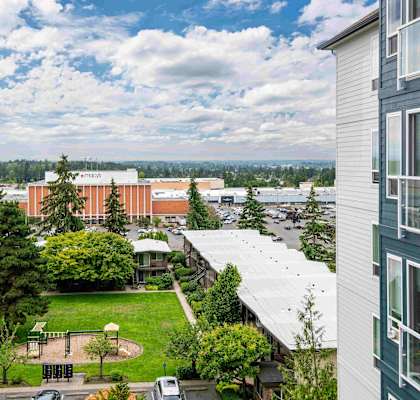 A view of a green lawn from a high vantage point.