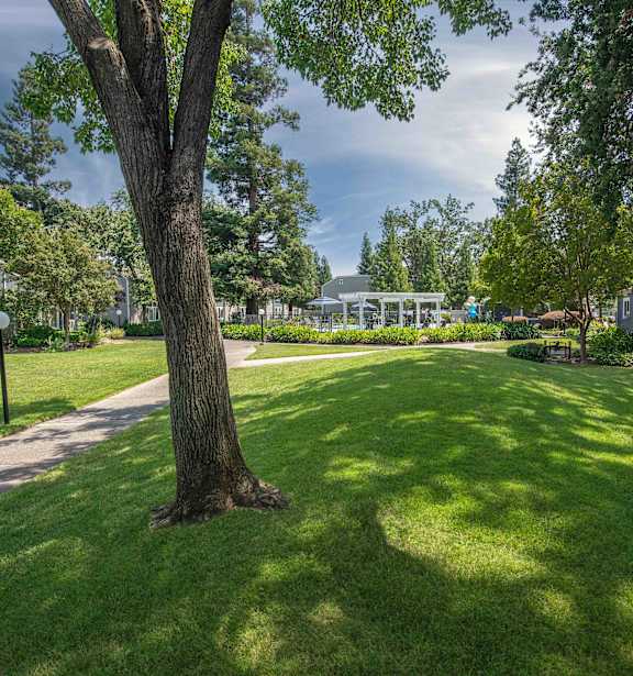Sidewalk, trees, and apartment buildingat Willow Grove Apartments, Sacramento, CA 95825