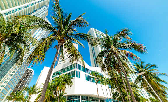 Palm trees in front of a modern building.