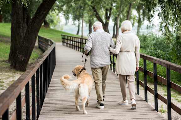 Four people walking together in a park.