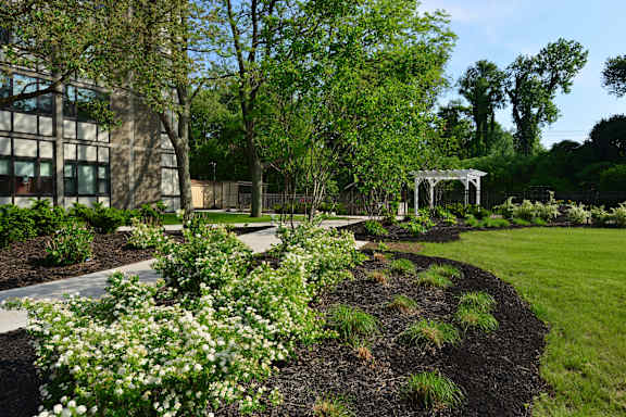 A garden with a white gazebo and a tree with white flowers.