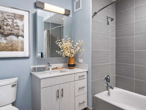 Luxurious Garden Tub at 1001 South State, Illinois