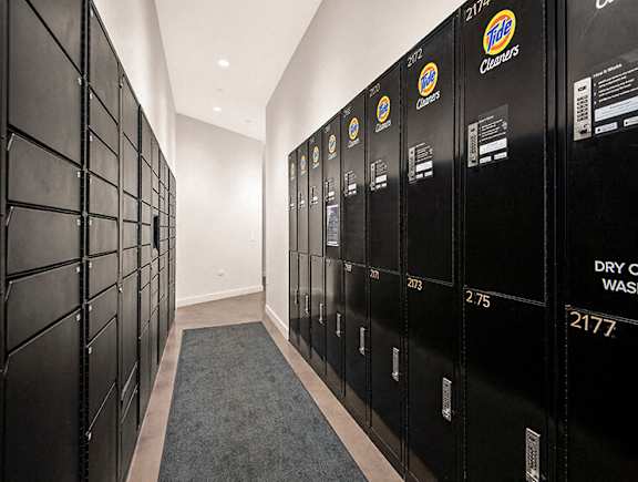 Package Locker at 1001 South State, Illinois, 60605