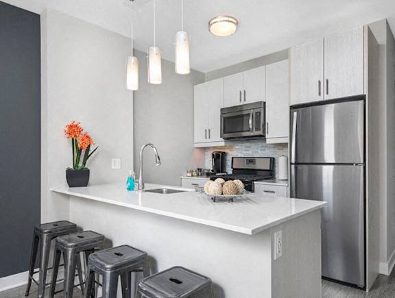 Guest Suite Kitchen at 1001 South State, Illinois, 60605