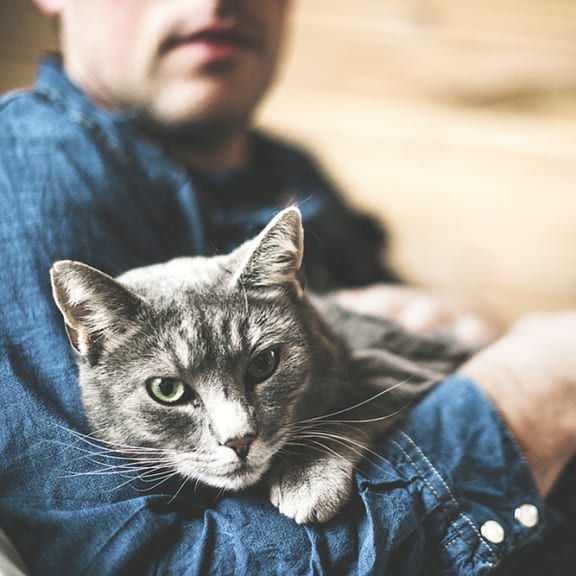 man holding a cat at Madison Park, Bozeman, MT