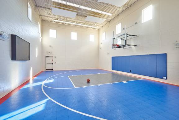 A basketball court with a blue floor and white lines.