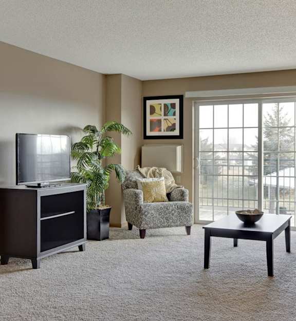Living Area at The Preserve at Commerce, Rogers, MN, 55374