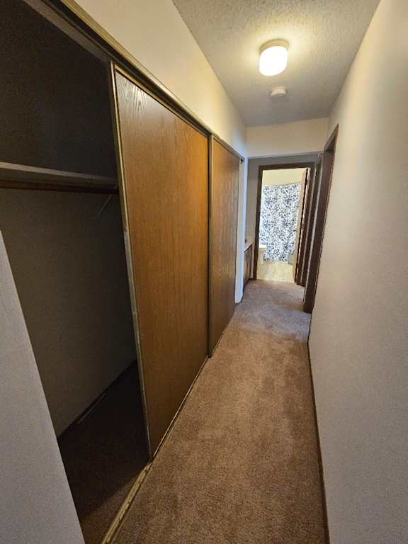 A hallway with brown carpeting and a white ceiling.