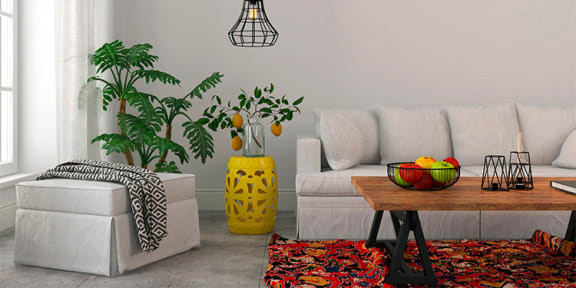 APARTMENT AMENITIES