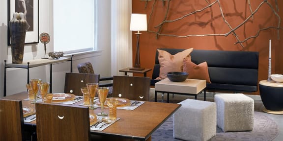 APARTMENT AMENITIES