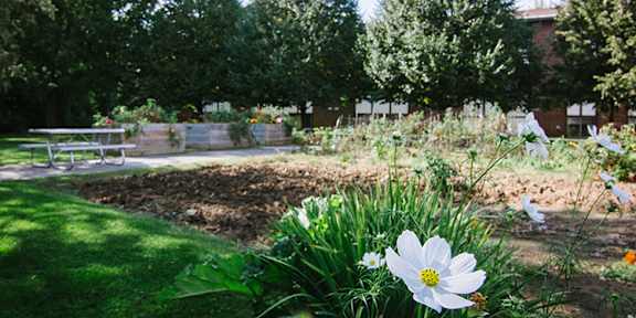 a garden with a bench and trees in the background