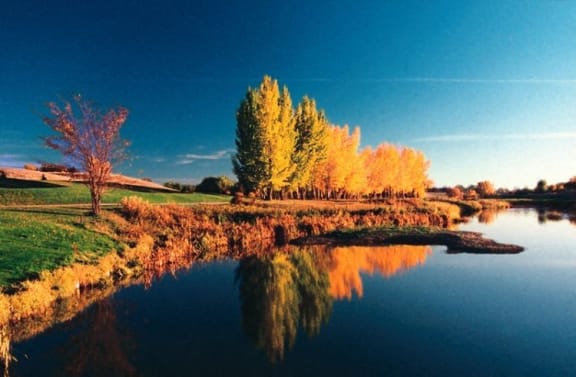 a body of water with trees reflected in it