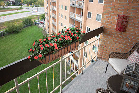 A wooden pergola with blue cushioned chairs and a table with flowers on it.