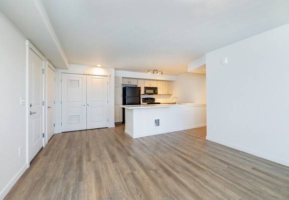 Copper Platte Living and Kitchen Area