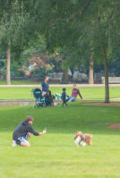 a man and a dog in a park