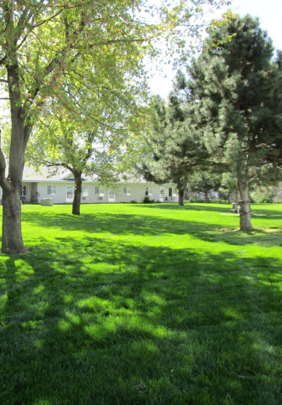 COMMUNITY AMENITIES