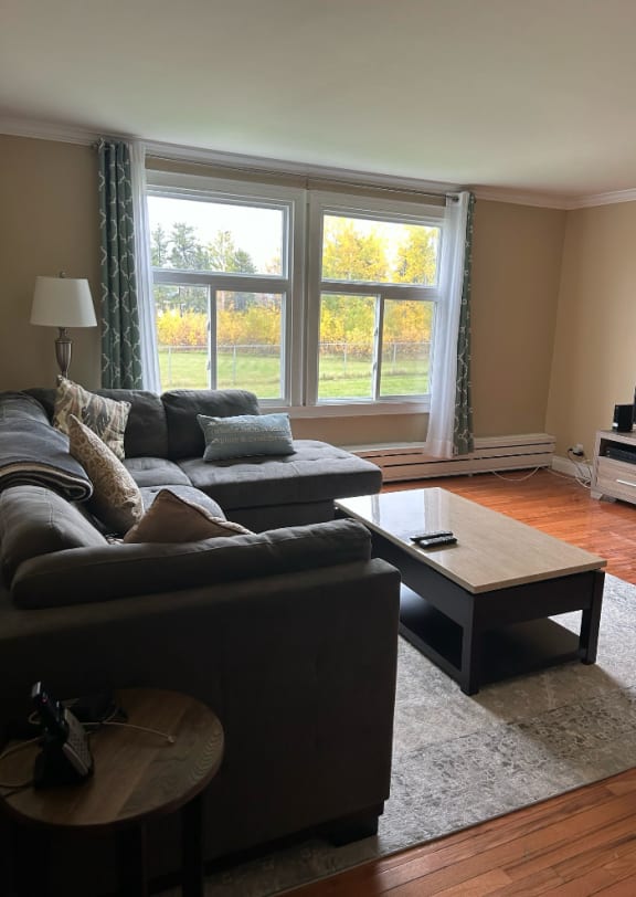 a living room with a couch and a coffee table