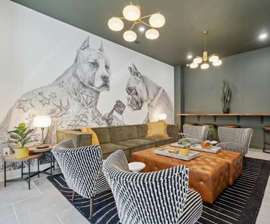 A drawing of a dog with stars on its body is on the wall.