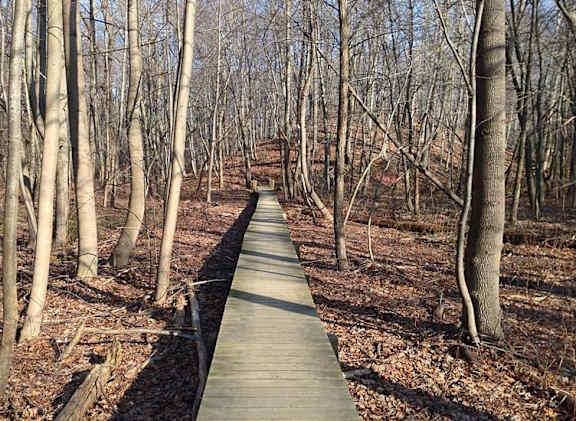 apartments for rent one and two bedroom at tree haven apartments in aberdeen matawan nj best apartments monmouth county nj