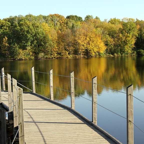 A wooden dock extends into a lake with trees in the background.