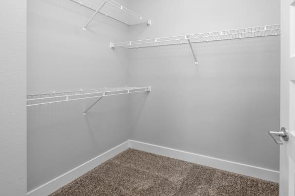 a spacious walk in closet with empty shelves and a carpeted floor at The Haven at Lake Britt Apartments, Winter Garden, FL 34787
