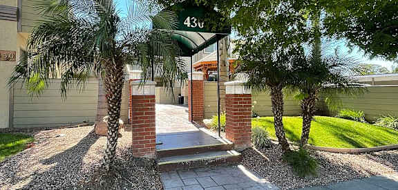 A tree with the number 43 on it is in the foreground of a residential area.