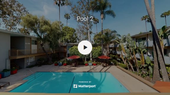 a backyard with a pool and palm trees