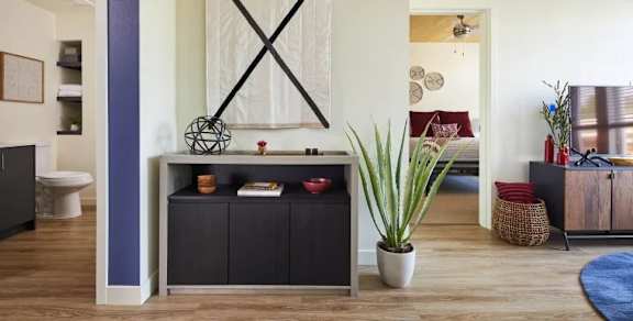 A modern living room with a black cabinet and a large potted plant.at Postmark Apartments, Shoreline