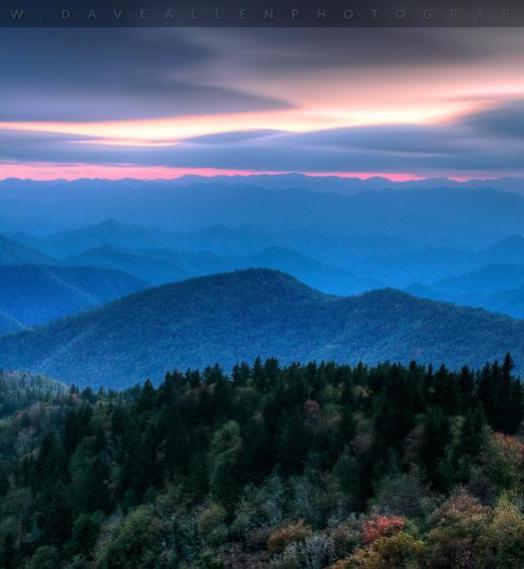 Wake Forest Range