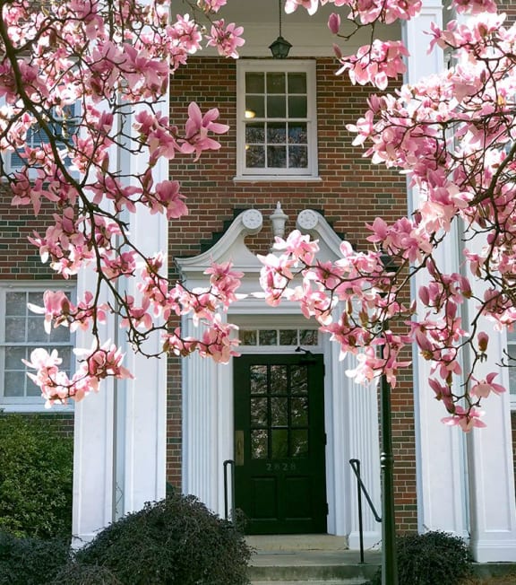 a tree with pink flowers in front of a house