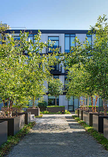 Courtyard access
