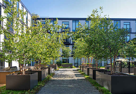 A pathway leads through a series of planters with trees in the foreground and a modern building in the background.