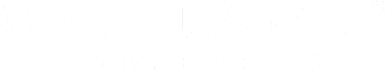 a logo with the words acorn projects on a white