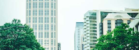 A city street with a tall building on the left and trees on both sides.