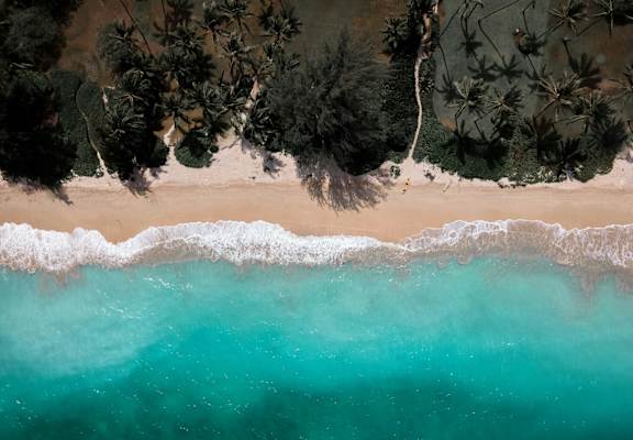 A beach with turquoise water and trees in the background.