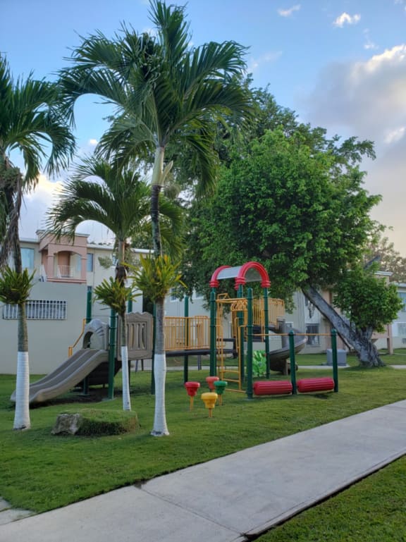 a playground with a slide in a yard with palm trees