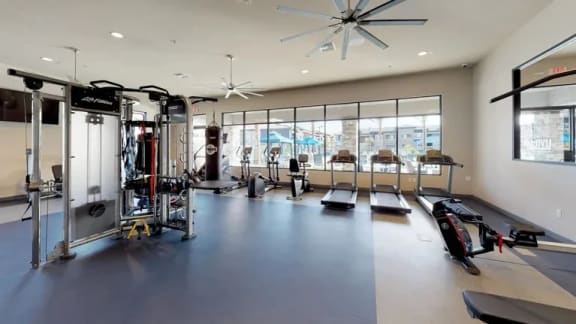 a home gym with weights and cardio equipment and windows