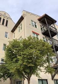 A tree in front of a building with a balcony.