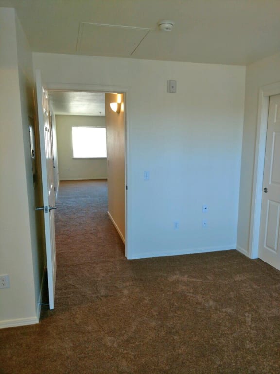 Second bedroom showing closet door, looking out into the hall.  Flooring is carpet.
