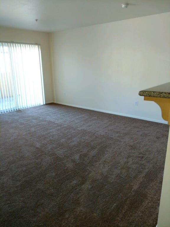 Living Room from entrance to kitchen showing carpeted flooring and patio door with blinds.