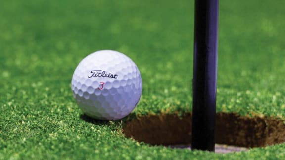a golf ball sitting next to a hole