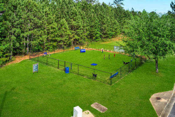 a dog park is seen from above