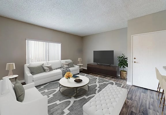 A living room with a white couch, a grey rug, and a television.
