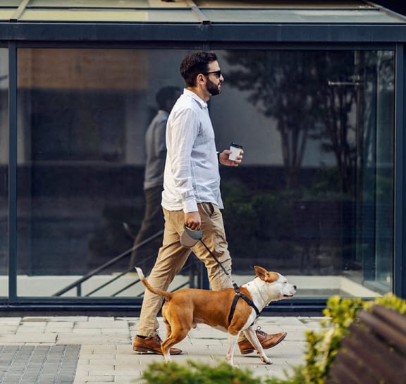 a man walking his dog while holding a cup of coffee