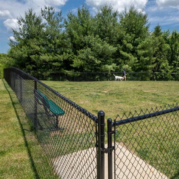 a dog is standing in a field behind a fence