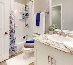 a bathroom with a sink and a toilet and a shower