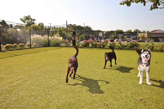 Pet park at Saratoga Square, Virginia