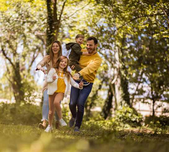 A family of four is walking through a sunny park.