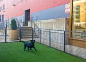 Thumbnail 14 of 17 - Pet Park at The Laurel Apartments, Saint Louis, 63101